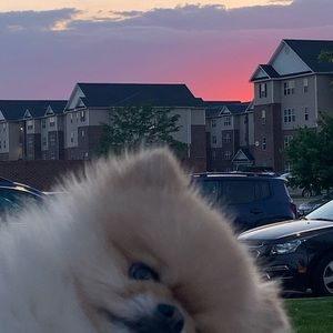 Meet your Posher, Seona